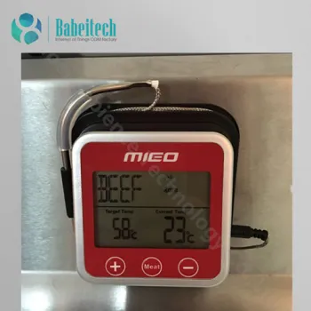 Wireless Meat Thermometer with Timer