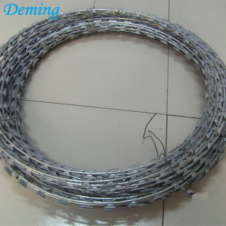 Galvanized Cheap Price Razor Concertina Barbed Wire