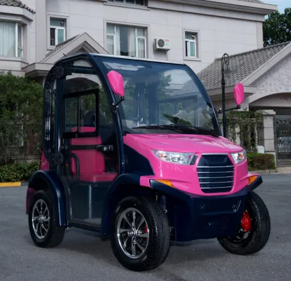 LVTONG 2 Seater Low Speed Electric Vehicle with Closed Doors