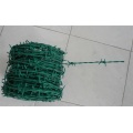 Barbed Wire PVC Coated Barbed Wire Manufactory