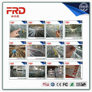 Trade assurance 100% payment guarantee factory supply chicken cage for sale with long working time