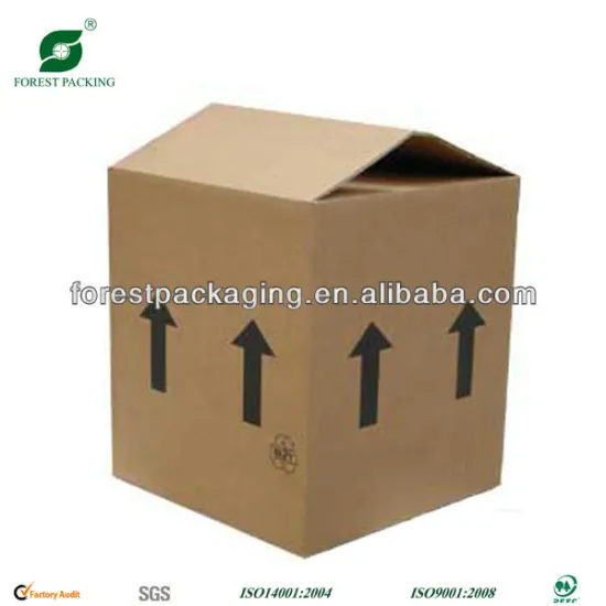 LARGE KRAFT SHIPPING BOX