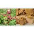 Natural Rhubarb Extract 98% Emodin Powder 518-82-1