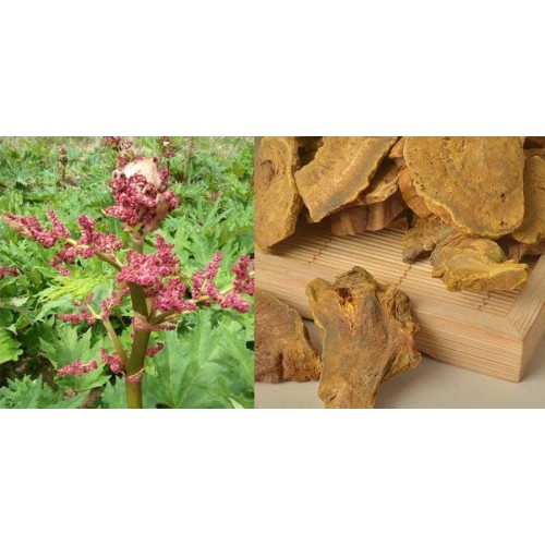 Natural Rhubarb Extract 98% Emodin Powder 518-82-1