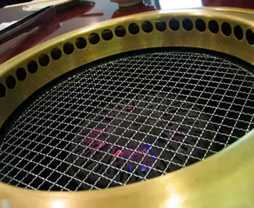Barbecue Grill Mesh