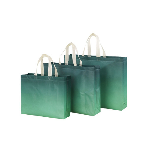 Three Dimensional Laminated Daily Bag