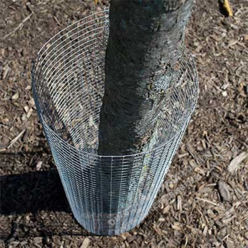 Welded Wire Mesh 25.4mm for Gardening