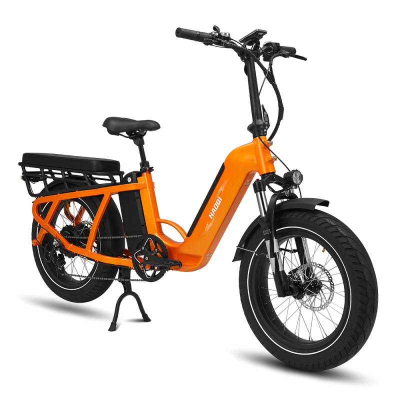 Camel 48V 27.8Ah Cargo Electric Bike