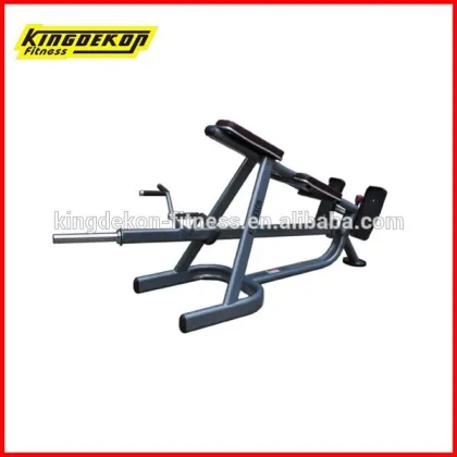 Seated Dip strength fitness equipment
