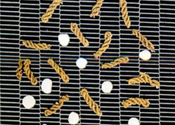 Stainless Steel Flat Flex Belt