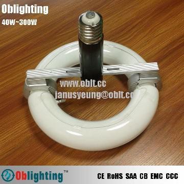 Ring lvd induction lighting retrofit electrodeless lamp