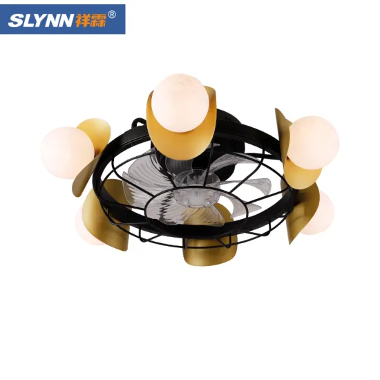 SLYNN Decoration Home Ceiling Fan with LED Light: Fancy Design