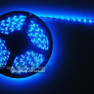 CE & RoHS listed! SMD 5050 12 Volt LED Light Strips Waterproof Blue