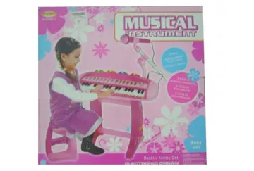 ELECTRONIC MUSICAL INSTRUMENT