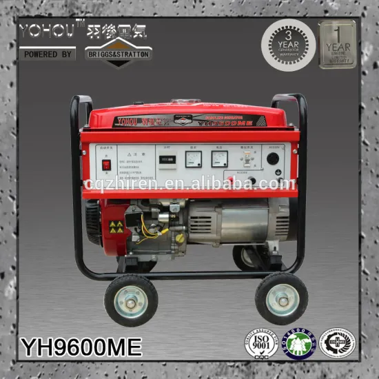 8800VA AC Single Phase Output Type Electric Start Powertrain Gasoline Generator