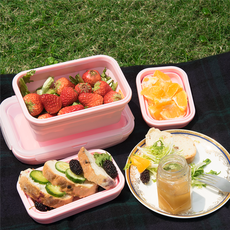 folding lunch box (10)