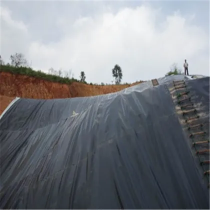 Composite Geomembrane for Artificial Wetland