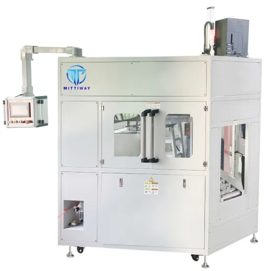 OEM Manufacturer Pricing for Fully Automatic Polybag Insertion Machine - Bag Inserter