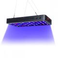 165 W Aquarium Light Coral Reef Każdego dnia 2022