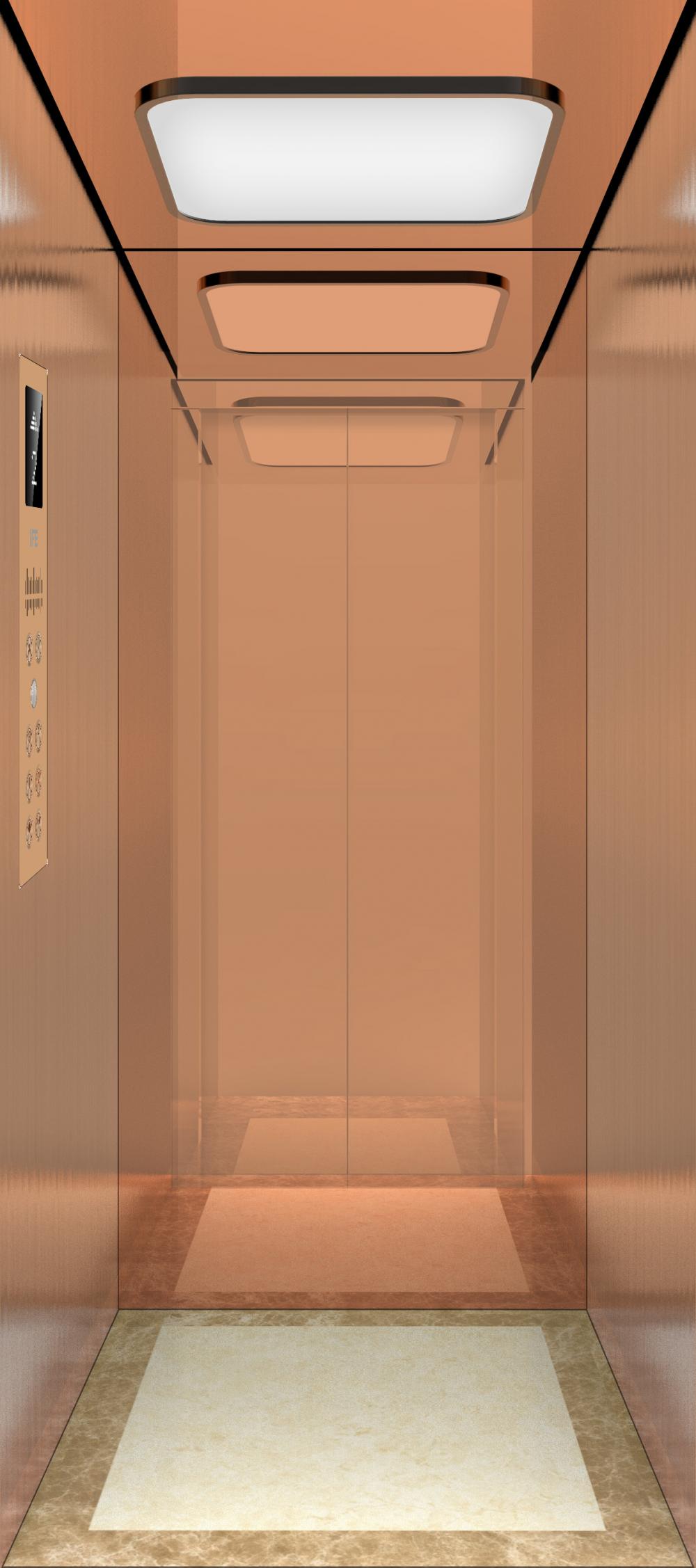 Residential Elevator Home Lift with Luxury Design