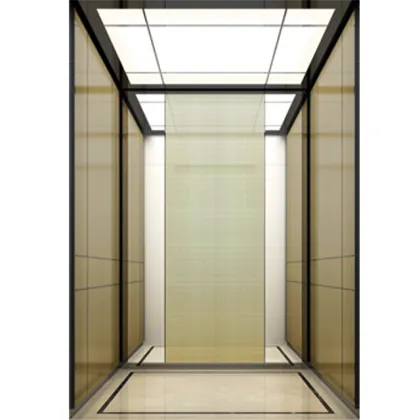 Foshan Leo Office Passenger Lift Elevator