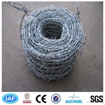 Barbed Wire Fencing