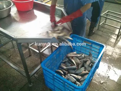 canned sardines in brine in club can