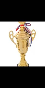 Metal trophy