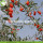 Factory Supply Fruit Getrocknete natürliche Goji Beeren