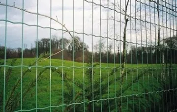 High quality hot dipped galvanized or pvc coated Euro Fence panels