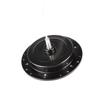 12V Brushless DC Motor for Ceiling Fans - Good Price and Quality Parts
