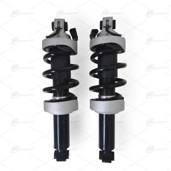 Front Shock Absorbers Assembly with Spring Suspension Strut for Audi R8 2009-2015 (420412019AJ, 420412020AJ)