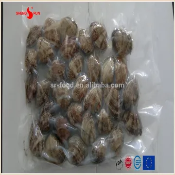 Vacuum -packed short necked clam in shell