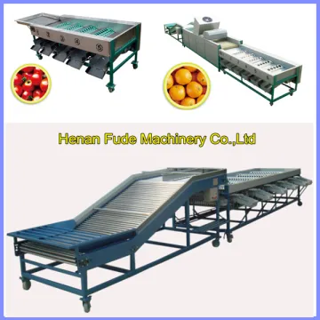 Cherry tomato grading machine , dates grading machine