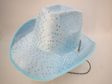 fashion hat.HG-B013