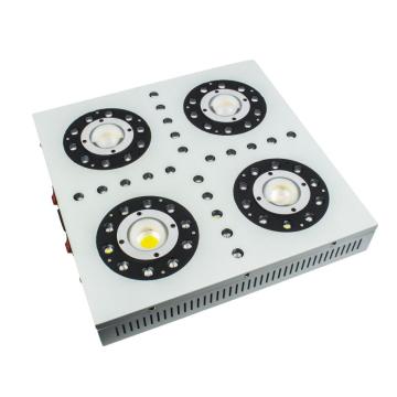 Spektrum Penuh Hidroponik Greenhouse LED Grow Light