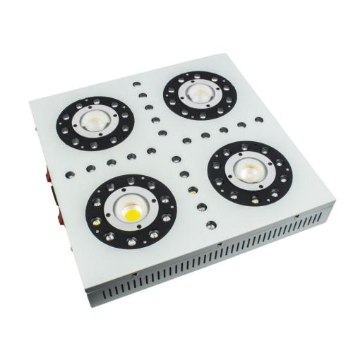 การทำสวนแบบ Hydroponic 300w LED Grow Light