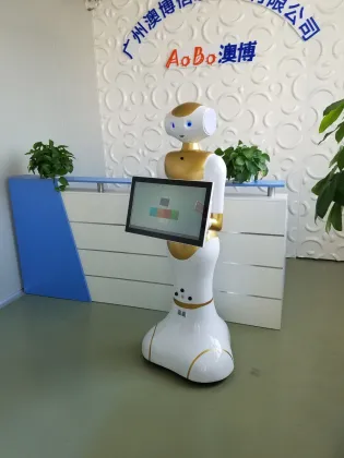 Intelligent humanoid welcome robot reception service robot