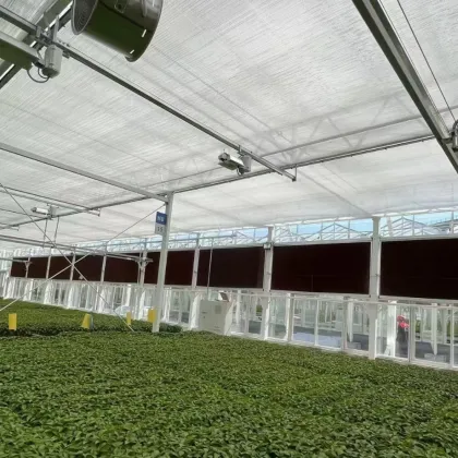 Agriculture Arched PC Board Commercial Greenhouse