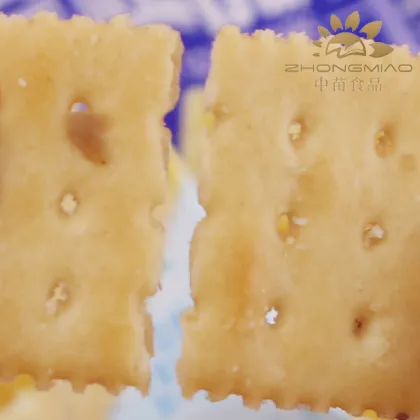 Crispy Sea Salt Soda Crackers