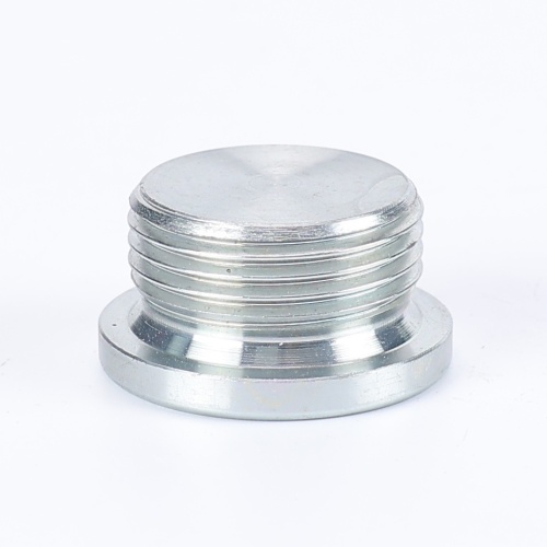 Stainless Steel Pipe Plug with Inner Hexagon Flangeg Hexagon Socket Head Pipe Plugs Manufactory