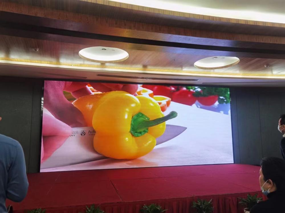 Led video wall for conference P2.8 p3.91