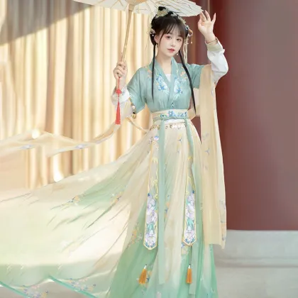 Chinese Traditional Hanfu: Female Tang Skirt with Embroidery