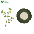 Óriás Knotweed kivonat Resveratrol por 98%