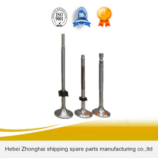 Inlet and Outlet Engine Valve for B&WL20/27