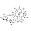 Clarithromycin EP DUSURE D CAS101666-68-6