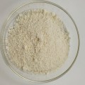 High quality pumpkin seed protein powder