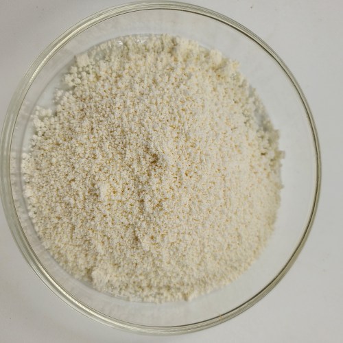 High quality pumpkin seed protein powder