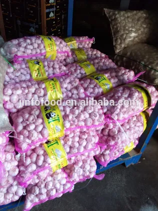 Best quality Jinxiang garlic