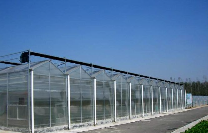 Transparent PC Sunboard Canopy